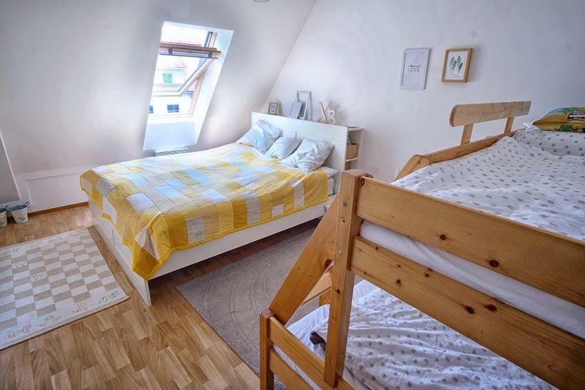 Apartman Destna Cp.1 Destne v Orlickych horach Eksteriør bilde